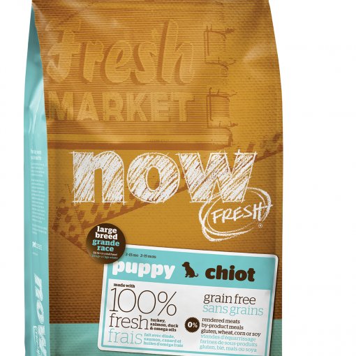 NOW FRESH Grain Free Large Breed Puppy DF 11,33 kg