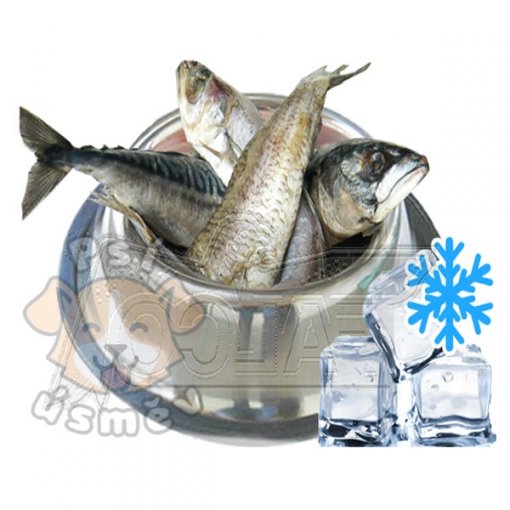 Rybí maso (celé ryby) 6x 1kg